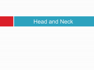 Head and Neck
 