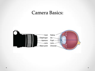 Camera Basics:
 