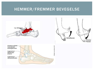 HEMMER/FREMMER BEVEGELSE
 