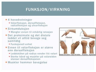  4 hovedretninger
 Volarfleksjon, dorsalfleksjon,
radialfleksjon og ulnarfleksjon
 Sirkumduksjon
 Mangler evnen til virkårlig rotasjon
 Det proksimale og det distale
leddet vil alltid bevege seg
samtidig
 Funksjonell enhet
 Evnen til volarfleksjon er større
enn dorsalfleksjon
 Leddskålen på radius vender litt volart
 Sterke bånd og muskler på volarsiden
stanser dorsalfleksjonen
 Muskler hemmer bevegelse
FUNKSJON/VIRKNING
 