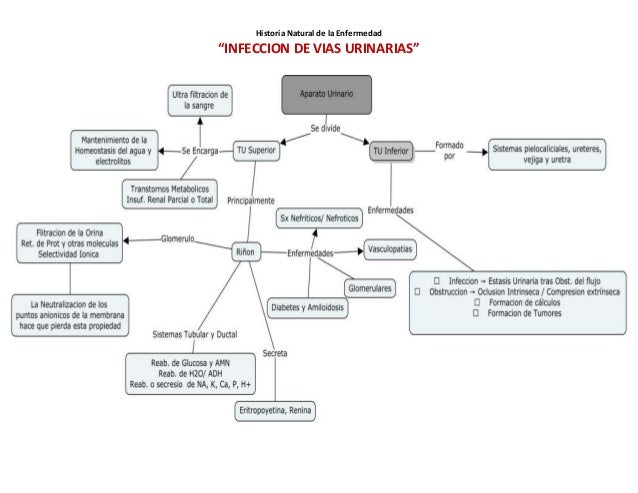 Historia Natural: Infección de Vías Urinarias