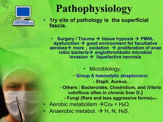   Pathophysiology 1ry site of pathology is  the superficial fascia. Surgery / Trauma     tissue hypoxia    PMNL dysfunction    good  environment  for f acultative aerob es   more ↓  oxidation      proliferat ion of  anaerobic bacteria   angiothrombotic microbial invasion     liquefactive necrosis Microbiology: -  G roup A h a emolytic streptococci . - Staph. Aureus. - O ther s : Bacteroides, Clostridium, and ( Vibrio vulnificus  often in chronic liver D .) - Fungi (Rare and less aggressive forms) SCH A erobic metabolism   C o 2   + H 2 O .  Ana erobic metabol .    H,  N ,  H 2 S.  
