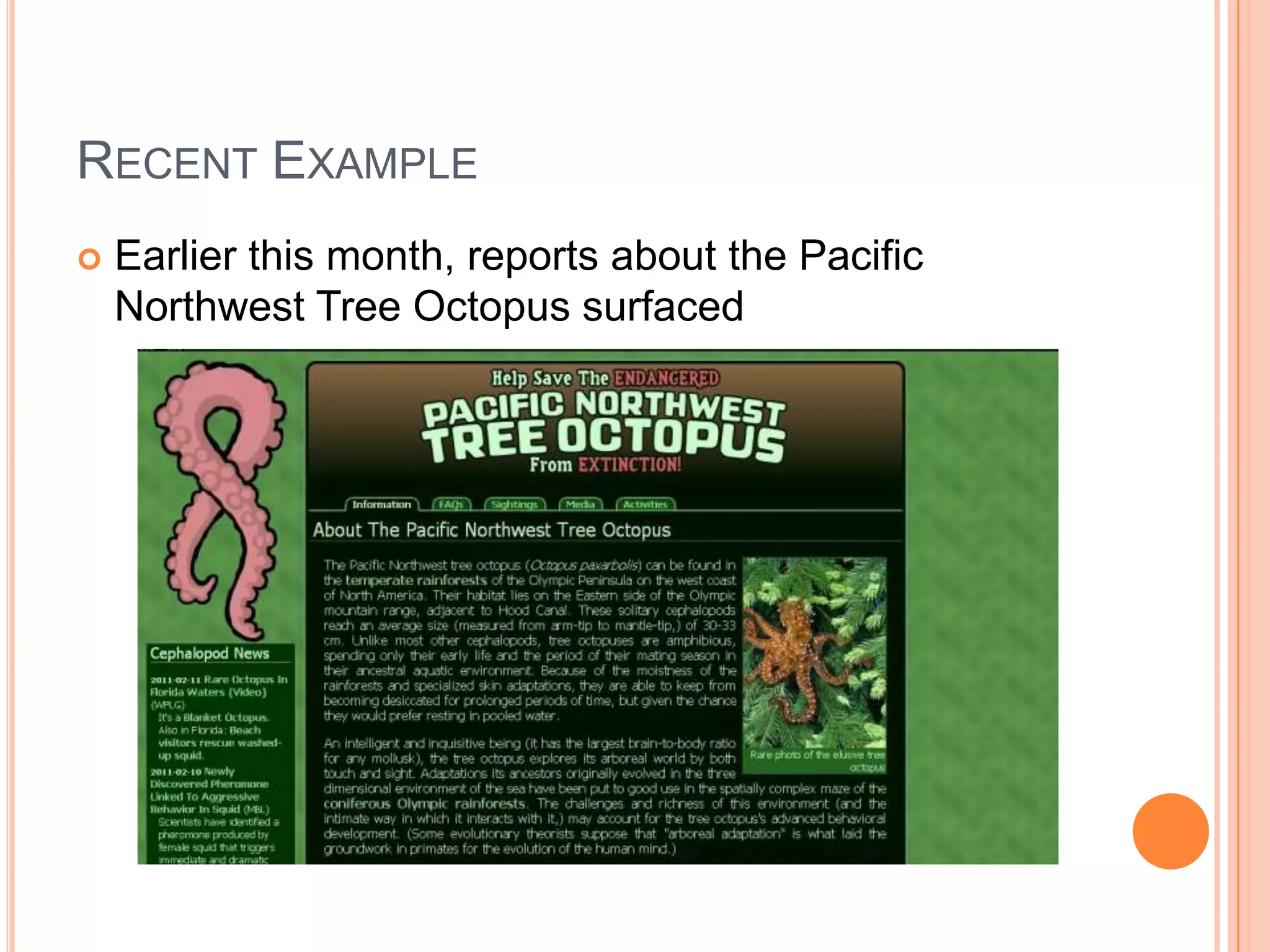 Recent ExampleEarlier this month, reports about the Pacific Northwest Tree Octopus surfaced