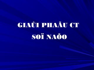GIAÛI PHAÃU CT
SOÏ NAÕO
 