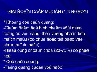* Khoâng coù caûn quang:
-Giaûm ñaäm ñoä hình cheâm vôùi neàn
roäng ôû voû naõo, theo vuøng phaân boá
maïch maùu (do phuø ñoäc teá baøo vaø
phuø maïch maùu)
-Hieäu öùng choaùn choã (23-75%) do phuø
neà
* Coù caûn quang:
-Taêng quang cuoän voû naõo
GIAI ÑOAÏN CAÁP MUOÄN (1-3 NGAØY)
 