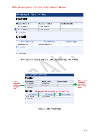 Phiên bản thử nghiệm – Lưu hành nội bộ - Microsoft Vietnam
206
Hình 230: Chi tiết thể hiện của Detai ứng với dữ liệu trên Master
Hình 231: Thể hiện dữ liệu
 