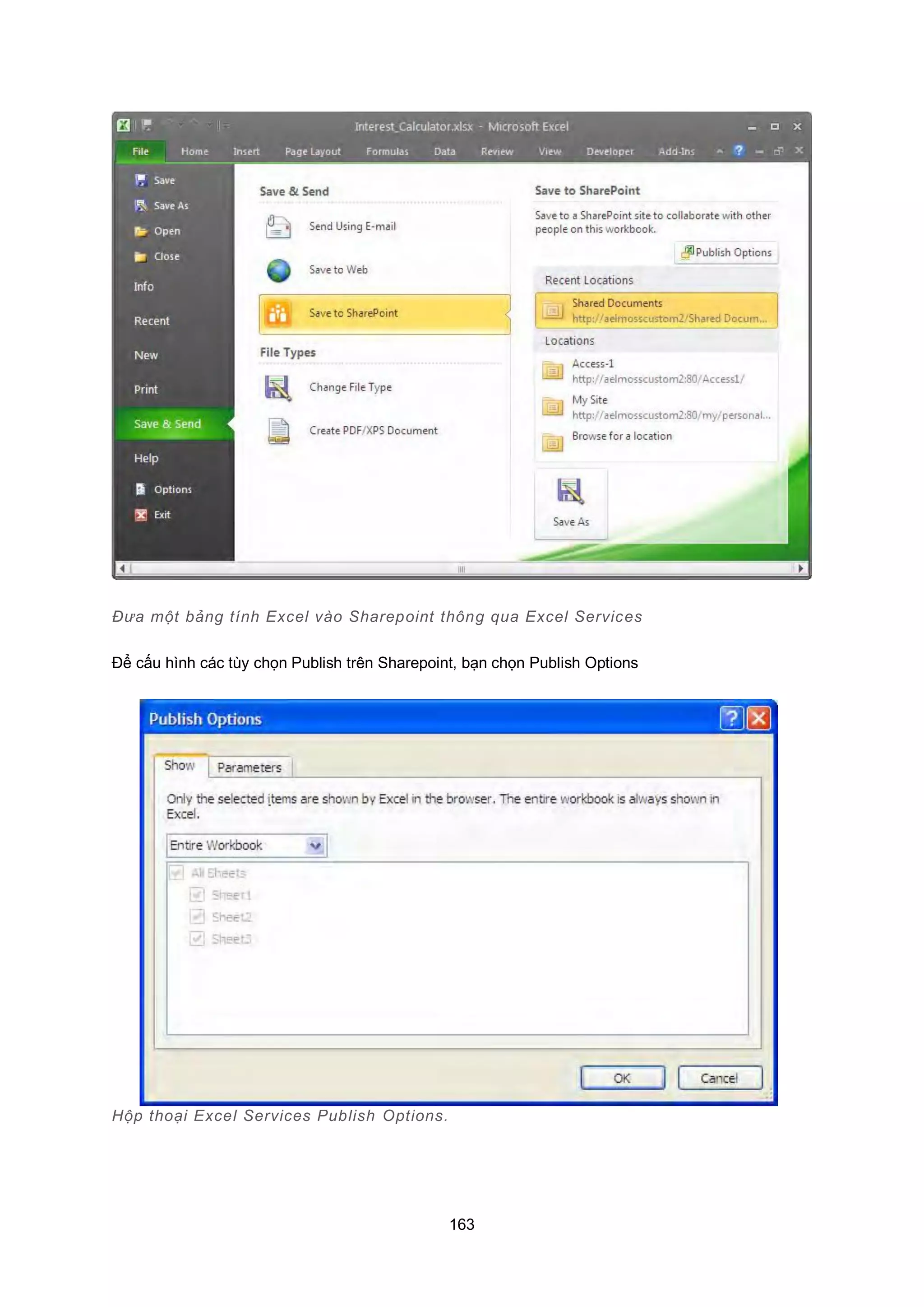 163
Đưa một bảng tính Excel vào Sharepoint thông qua Excel Services
Để cấu hình các tùy chọn Publish trên Sharepoint, bạn chọn Publish Options
Hộp thoại Excel Services Publish Options.
 