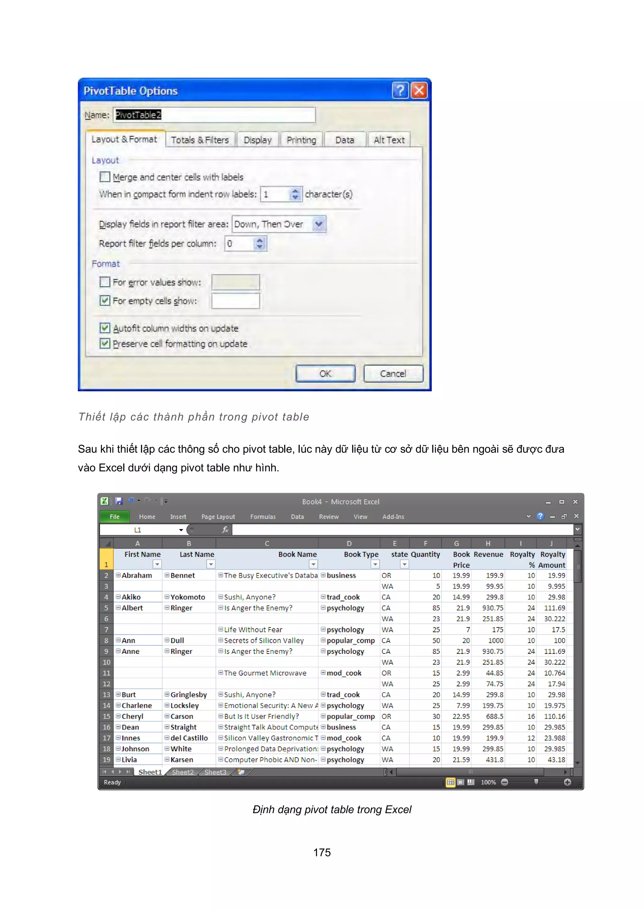 175
Thiết lập các thành phần trong pivot table
Sau khi thiết lập các thông số cho pivot table, lúc này dữ liệu từ cơ sở dữ liệu bên ngoài sẽ được đưa
vào Excel dưới dạng pivot table như hình.
Định dạng pivot table trong Excel
 