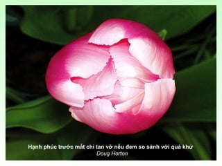 Hạnh phúc trước mắt chỉ tan vỡ nếu đem so sánh với quá khứ
Doug Horton
 