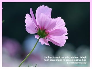 Hạnh phúc giữ trong tay chỉ còn là hạt;
hạnh phúc mang ra san sẻ mới trổ hoa
Ernest Hemingway
 