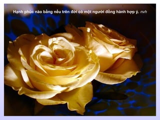 Hạnh phúc nào bằng nếu trên đời có một người đồng hành hợp ý. nvh
 