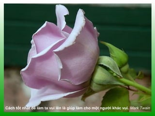 Cách tốt nhất để làm ta vui lên là giúp làm cho một người khác vui. Mark Twain
 