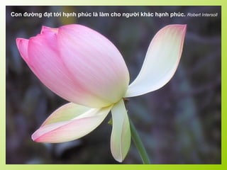 Con đường đạt tới hạnh phúc là làm cho người khác hạnh phúc. Robert Intersoll
 