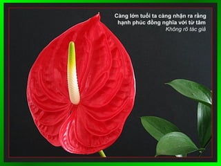 Càng lớn tuổi ta càng nhận ra rằng
hạnh phúc đồng nghĩa với từ tâm
Không rõ tác giả
 