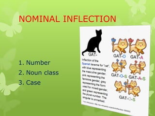 NOMINAL INFLECTION
1. Number
2. Noun class
3. Case
 