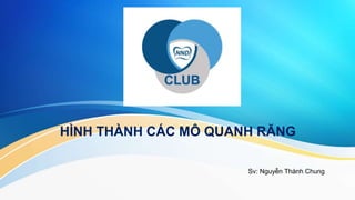 HÌNH THÀNH CÁC MÔ QUANH RĂNG
Sv: Nguyễn Thành Chung
 