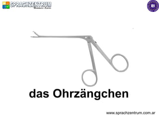 das Ohrzängchen
           www.sprachzentrum.com.ar
 