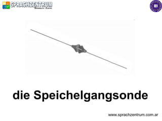 die Speichelgangsonde
              www.sprachzentrum.com.ar
 