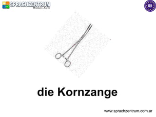 die Kornzange
          www.sprachzentrum.com.ar
 