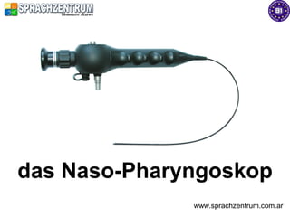 das Naso-Pharyngoskop
              www.sprachzentrum.com.ar
 