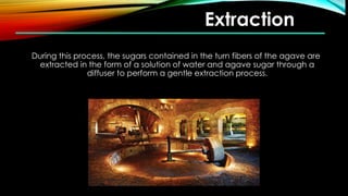 Extraction
During this process, the sugars contained in the turn fibers of the agave are
extracted in the form of a solution of water and agave sugar through a
diffuser to perform a gentle extraction process.
 