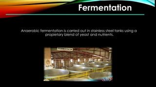Fermentation
Anaerobic fermentation is carried out in stainless steel tanks using a
propietary blend of yeast and nutrients.
 