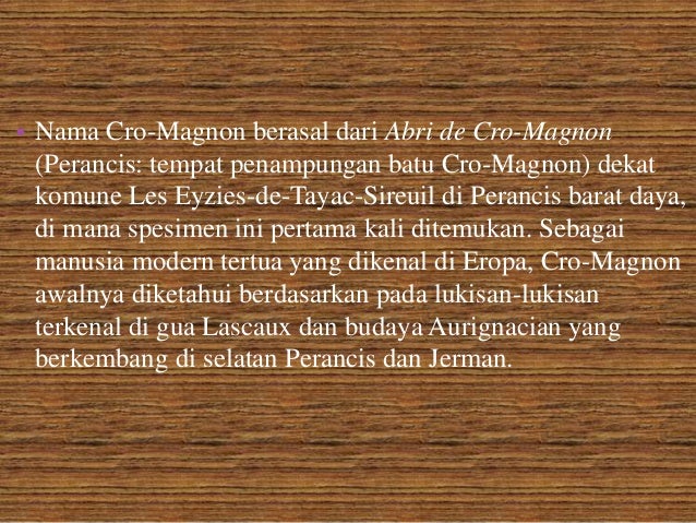 Volume Otak Manusia Purba Meganthropus Paleojavanicus 
