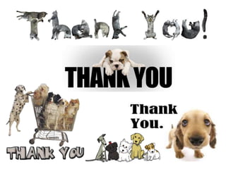 Herniated Nucleus Pulposus