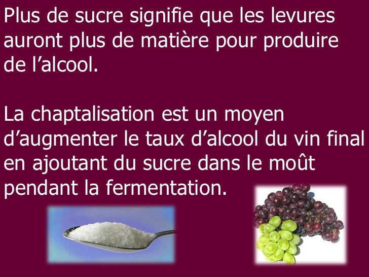 Le Lien Entre Le Sucre Et Les Degrés De L