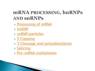 hn RNA processing | PPT