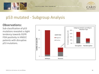 p53 mutated - Subgroup Analysis
Observations:
                                                                                                                                           Subgroup Analysis according to
Sub-classification of p53                                                                                                                          Mutation Type
                                                                          30                                                         80%
mutations revealed a slight




                                                                                                         % mutated subgroup (n=10)
                                                                                                                                     60%
tendency towards EGFR                                                                     EGFR FISH
FISH positivity in HNSCC                            number of cases (N)
                                                                                           Negative
                                                                                                                                     40%
                                                                          20
patients with disruptive                                                                   Positive                                  20%

p53 mutations.                                                                                                                       0%
                                                                                                                                             Disruptive    Nondisruptive
                                                                          10




                                                                           0
                                                                               Wildtype        Mutated




   ©2012 Caris Life Sciences, Ltd. and Affiliates                                                                                                                           10
 