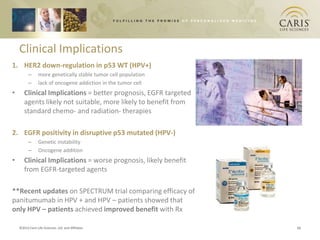 Clinical Implications
1. HER2 down-regulation in p53 WT (HPV+)
          –      more genetically stable tumor cell population
          –      lack of oncogene addiction in the tumor cell
•      Clinical Implications = better prognosis, EGFR targeted
       agents likely not suitable, more likely to benefit from
       standard chemo- and radiation- therapies

2. EGFR positivity in disruptive p53 mutated (HPV-)
          –      Genetic instability
          –      Oncogene addition
•      Clinical Implications = worse prognosis, likely benefit
       from EGFR-targeted agents

**Recent updates on SPECTRUM trial comparing efficacy of
panitumumab in HPV + and HPV – patients showed that
only HPV – patients achieved improved benefit with Rx

    ©2012 Caris Life Sciences, Ltd. and Affiliates               11
 