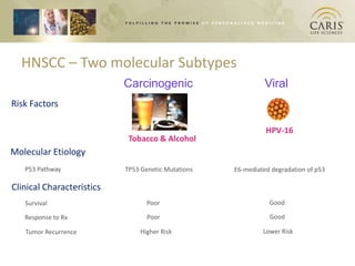 HNSCC – Two molecular Subtypes
                           Carcinogenic                       Viral
Risk Factors

                                                              HPV-16
                            Tobacco & Alcohol
Molecular Etiology
   P53 Pathway             TP53 Genetic Mutations   E6-mediated degradation of p53

Clinical Characteristics
   Survival                       Poor                         Good

   Response to Rx                 Poor                         Good

   Tumor Recurrence            Higher Risk                   Lower Risk
 