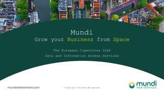 © Copyright 2019 Mundi Web Services
Mundi
Grow your Business from Space
The European Copernicus DIAS
Data and Information Access Services
 