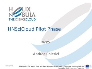 Helix Nebula – The Science Cloud with Grant Agreement 687614 is a Pre-Commercial Procurement Action
funded by H2020 Framework Programme
HNSciCloud Pilot Phase
WP5
Andrea Chierici
06/02/2018
 