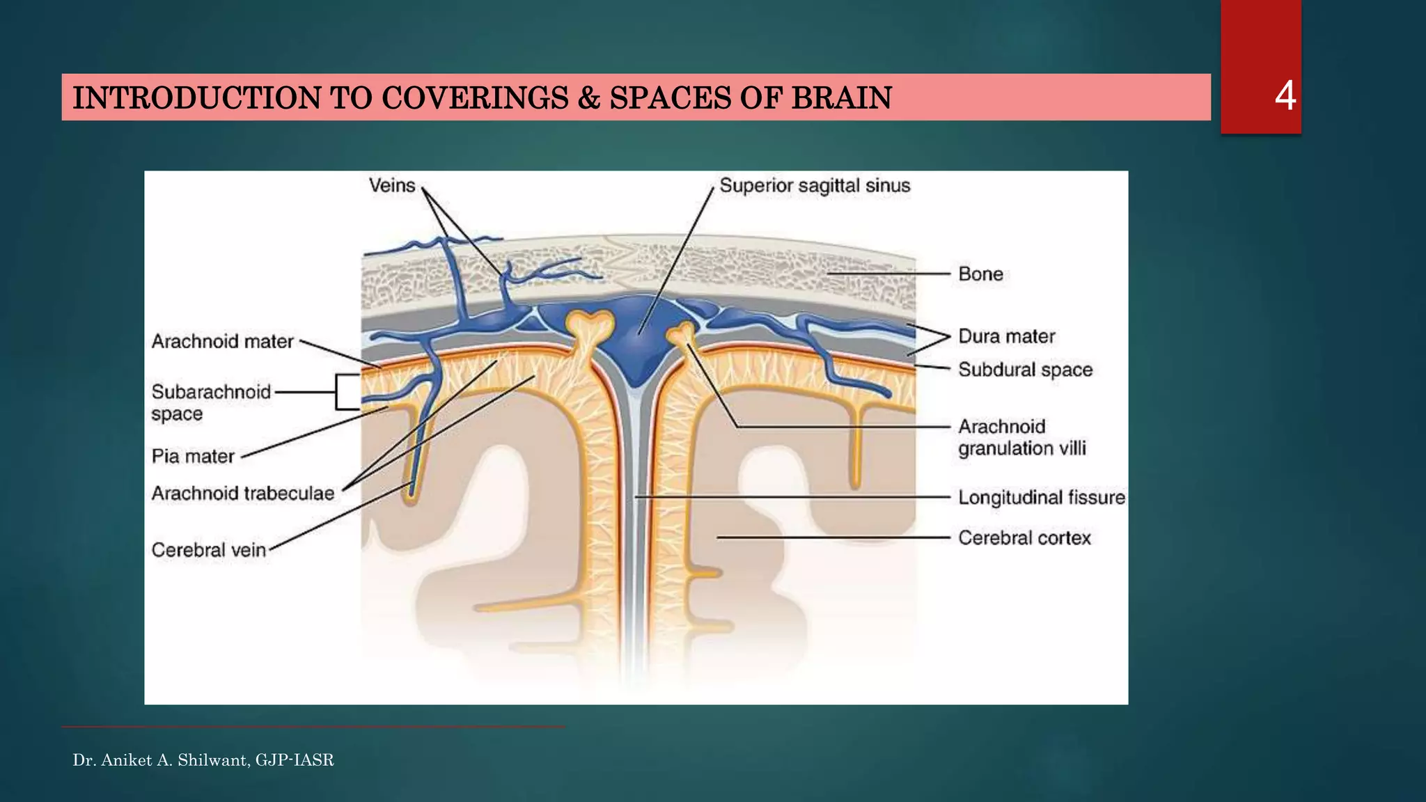 4
Dr. Aniket A. Shilwant, GJP-IASR
INTRODUCTION TO COVERINGS & SPACES OF BRAIN
 