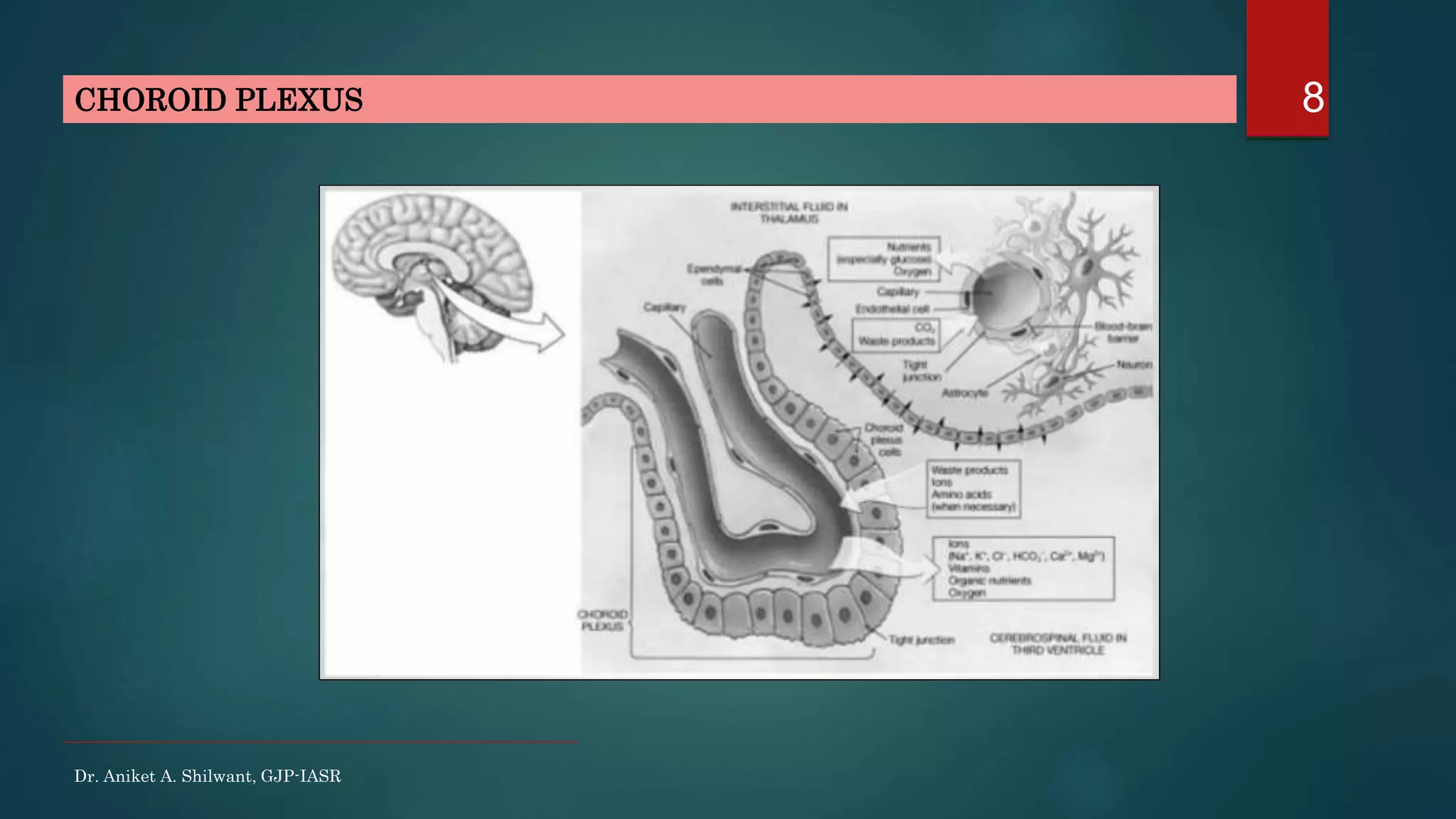 8CHOROID PLEXUS
Dr. Aniket A. Shilwant, GJP-IASR
 