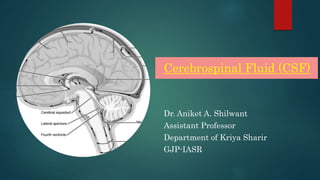 Cerebrospinal Fluid (CSF)
Dr. Aniket A. Shilwant
Assistant Professor
Department of Kriya Sharir
GJP-IASR
 