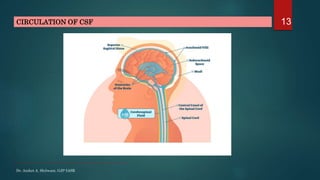 CEREBROSPINAL FLUID (CSF) | PPTX