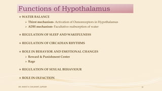 HNS PART IV - PARTS OF BRAIN | PPTX