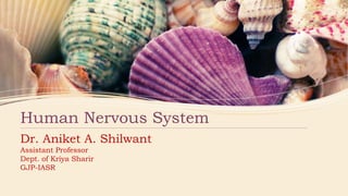 Human Nervous System
Dr. Aniket A. Shilwant
Assistant Professor
Dept. of Kriya Sharir
GJP-IASR
 