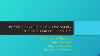 PHYSIOLOGY OF SOMATOSENSORY
& SOMATOMOTOR SYSTEM
Dr. Aniket A Shilwant
Assistant Professor
Dept. of Sharir Kriya
GJPIASR, CVM University
 