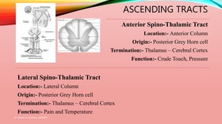 ASCENDING TRACTS
Anterior Spino-Thalamic Tract
Location:- Anterior Column
Origin:- Posterior Grey Horn cell
Termination:- Thalamus – Cerebral Cortex
Function:- Crude Touch, Pressure
Lateral Spino-Thalamic Tract
Location:- Lateral Column
Origin:- Posterior Grey Horn cell
Termination:- Thalamus – Cerebral Cortex
Function:- Pain and Temperature
Dr. Aniket A. Shilwant, GJPIASR
12
 