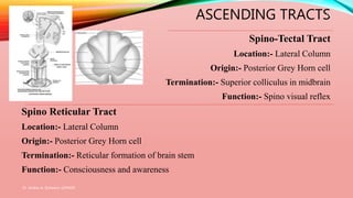 ASCENDING TRACTS
Spino-Tectal Tract
Location:- Lateral Column
Origin:- Posterior Grey Horn cell
Termination:- Superior colliculus in midbrain
Function:- Spino visual reflex
Spino Reticular Tract
Location:- Lateral Column
Origin:- Posterior Grey Horn cell
Termination:- Reticular formation of brain stem
Function:- Consciousness and awareness
Dr. Aniket A. Shilwant, GJPIASR
14
 