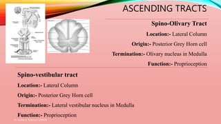 ASCENDING TRACTS
Spino-Olivary Tract
Location:- Lateral Column
Origin:- Posterior Grey Horn cell
Termination:- Olivary nucleus in Medulla
Function:- Proprioception
Spino-vestibular tract
Location:- Lateral Column
Origin:- Posterior Grey Horn cell
Termination:- Lateral vestibular nucleus in Medulla
Function:- Proprioception
Dr. Aniket A. Shilwant, GJPIASR
15
 