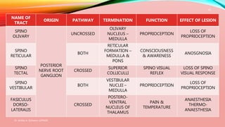 Dr. Aniket A. Shilwant, GJPIASR
18
NAME OF
TRACT
ORIGIN PATHWAY TERMINATION FUNCTION EFFECT OF LESION
SPINO
OLIVARY
POSTERIOR
NERVE ROOT
GANGLION
UNCROSSED
OLIVARY
NUCLEUS –
MEDULLA
PROPRIOCEPTION
LOSS OF
PROPRIOCEPTION
SPINO
RETICULAR
BOTH
RETICULAR
FORMATION –
MEDULLA &
PONS
CONSCIOUSNESS
& AWARENESS
ANOSGNOSIA
SPINO
TECTAL
CROSSED
SUPERIOR
COLLICULLI
SPINO VISUAL
REFLEX
LOSS OF SPINO
VISUAL RESPONSE
SPINO
VESTIBULAR
BOTH
VESTIBULAR
NUCLEI –
MEDULLA
PROPRIOCEPTION
LOSS OF
PROPRIOCEPTION
FASICULUS
DORSO-
LATERALIS
CROSSED
POSTERO-
VENTRAL
NUCLEUS OF
THALAMUS
PAIN &
TEMPERATURE
ANAESTHESIA
THERMO-
ANAESTHESIA
 