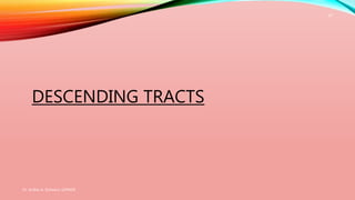 DESCENDING TRACTS
Dr. Aniket A. Shilwant, GJPIASR
20
 