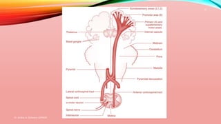 Dr. Aniket A. Shilwant, GJPIASR
21
 