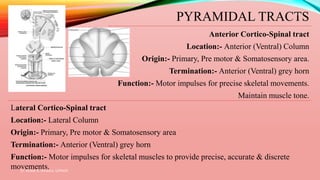 PYRAMIDAL TRACTS
Anterior Cortico-Spinal tract
Location:- Anterior (Ventral) Column
Origin:- Primary, Pre motor & Somatosensory area.
Termination:- Anterior (Ventral) grey horn
Function:- Motor impulses for precise skeletal movements.
Maintain muscle tone.
Lateral Cortico-Spinal tract
Location:- Lateral Column
Origin:- Primary, Pre motor & Somatosensory area
Termination:- Anterior (Ventral) grey horn
Function:- Motor impulses for skeletal muscles to provide precise, accurate & discrete
movements.
Dr. Aniket A. Shilwant, GJPIASR
22
 