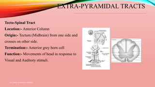Dr. Aniket A. Shilwant, GJPIASR
26
EXTRA-PYRAMIDAL TRACTS
Tecto-Spinal Tract
Location:- Anterior Column
Origin:- Tectum (Midbrain) from one side and
crosses on other side.
Termination:- Anterior grey horn cell
Function:- Movements of head in response to
Visual and Auditory stimuli.
 